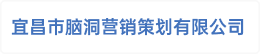 宜昌市脑洞营销策划有限公司