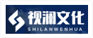 东莞市视澜文化传播有限公司