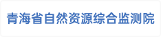 青海省自然资源综合监测院