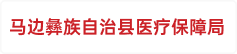 马边彝族自治县医疗保障局