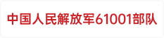 中国人民解放军61001部队